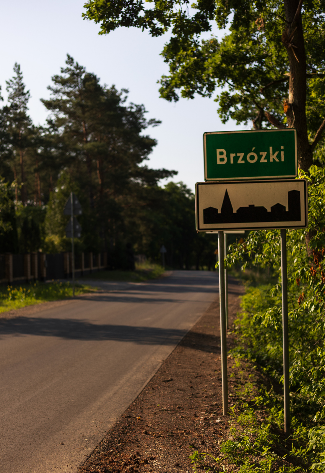 Twórcze Brzózki